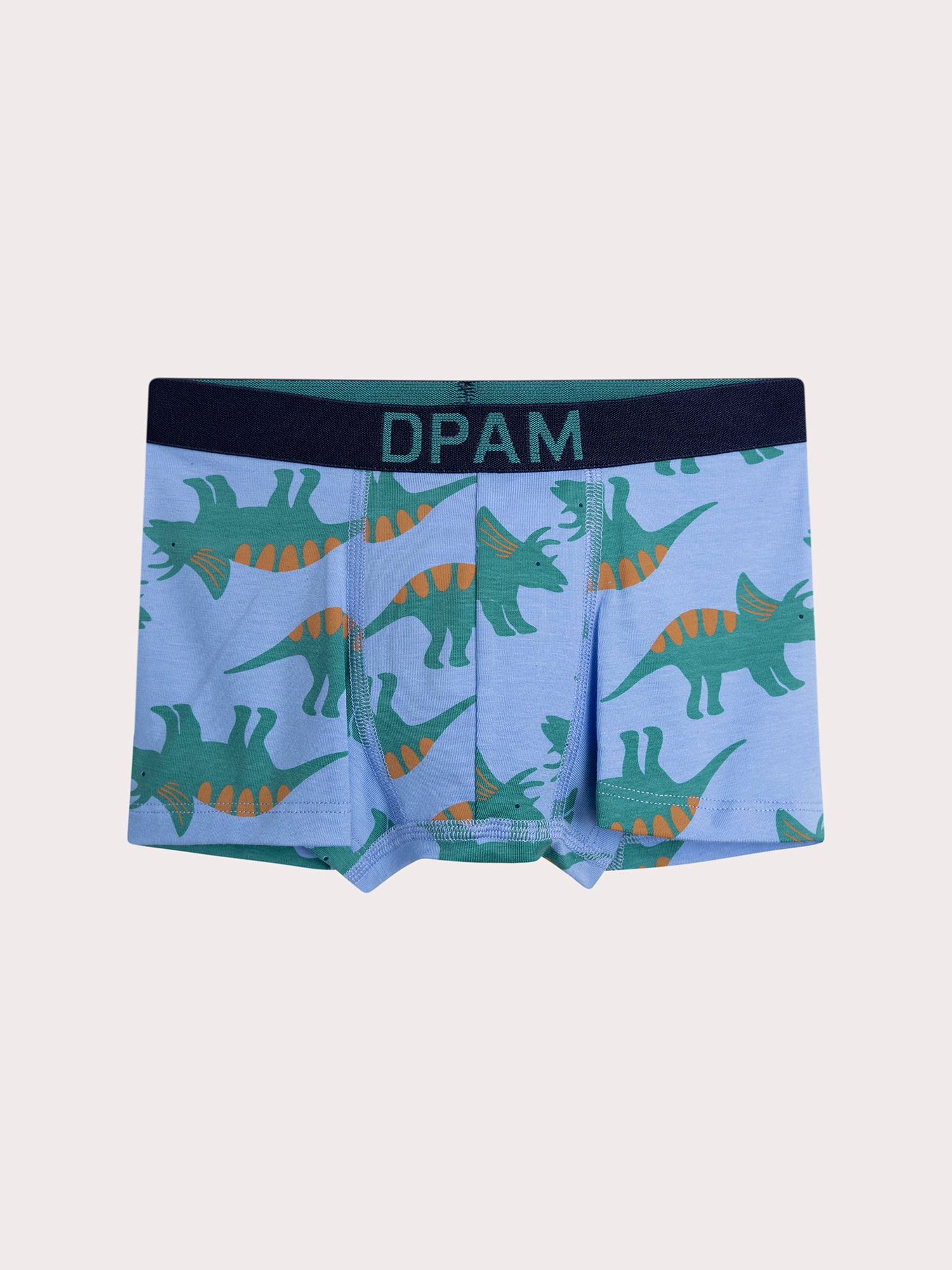 Lot de 4 boxers dinausaures  pour enfant garçon