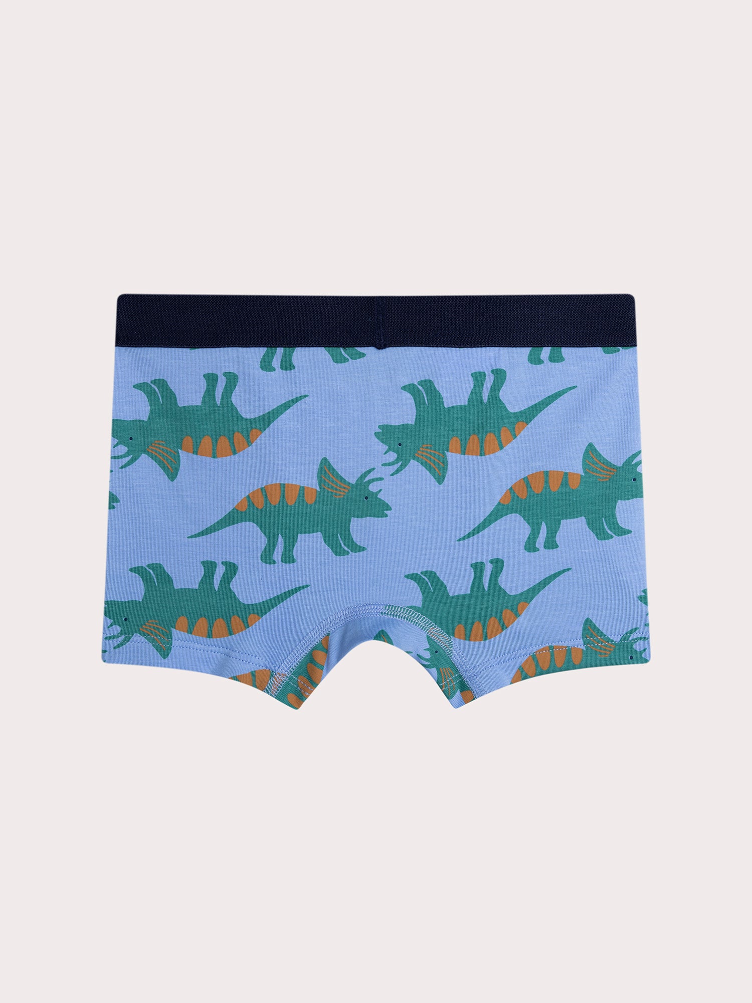 Lot de 4 boxers dinausaures  pour enfant garçon