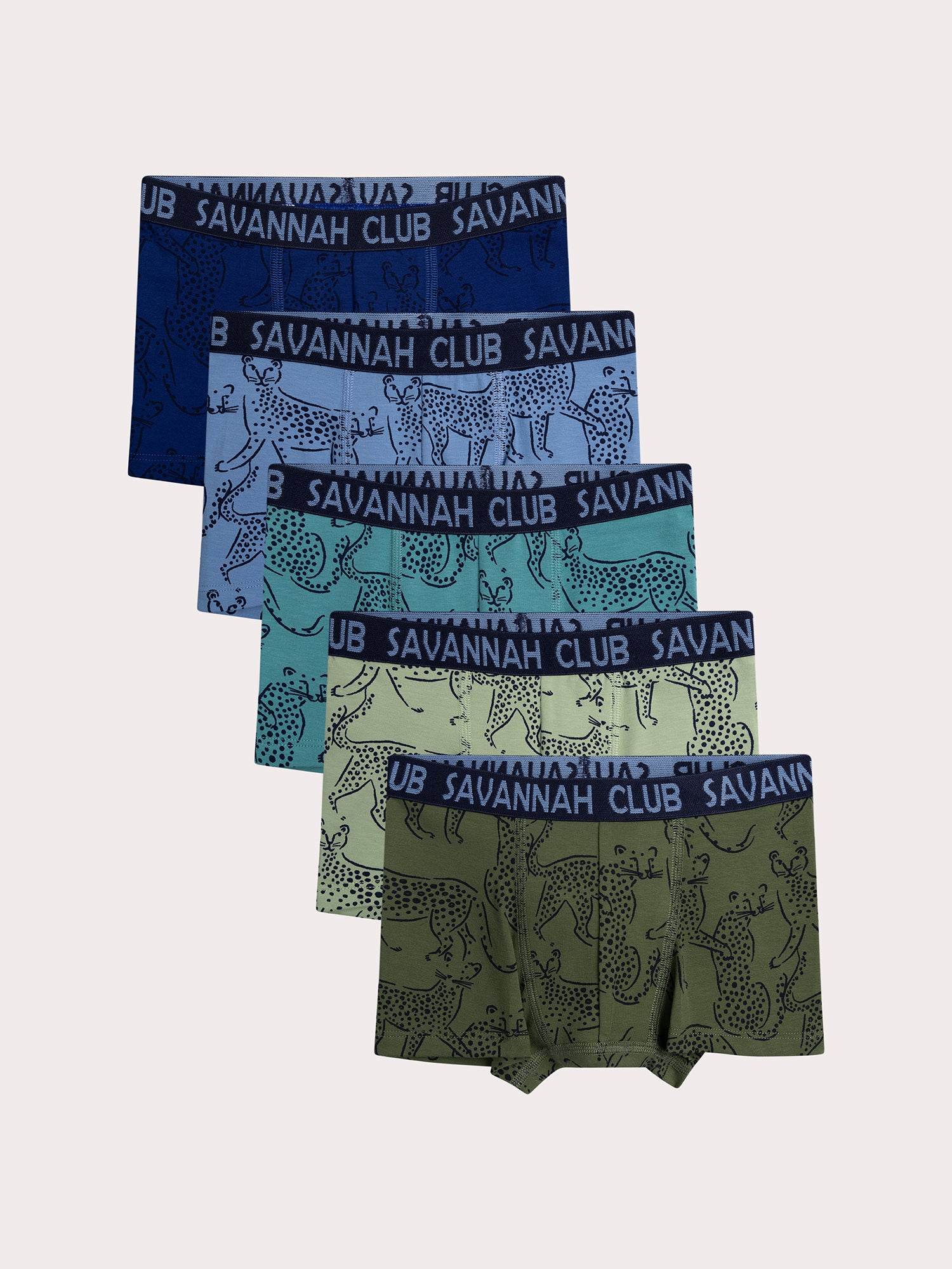 Lot de 5 boxers léopard pour enfant garçon