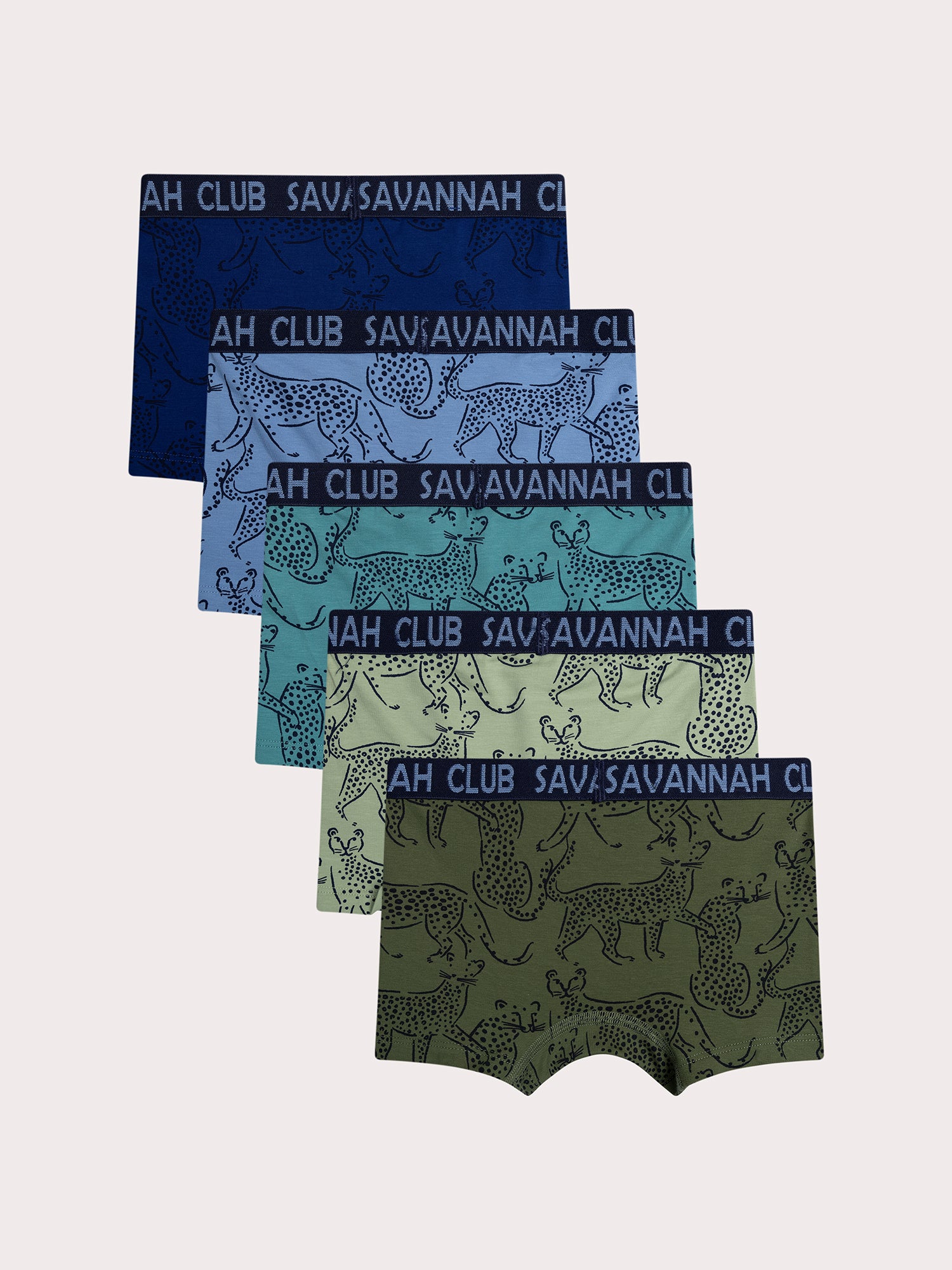 Lot de 5 boxers léopard pour enfant garçon