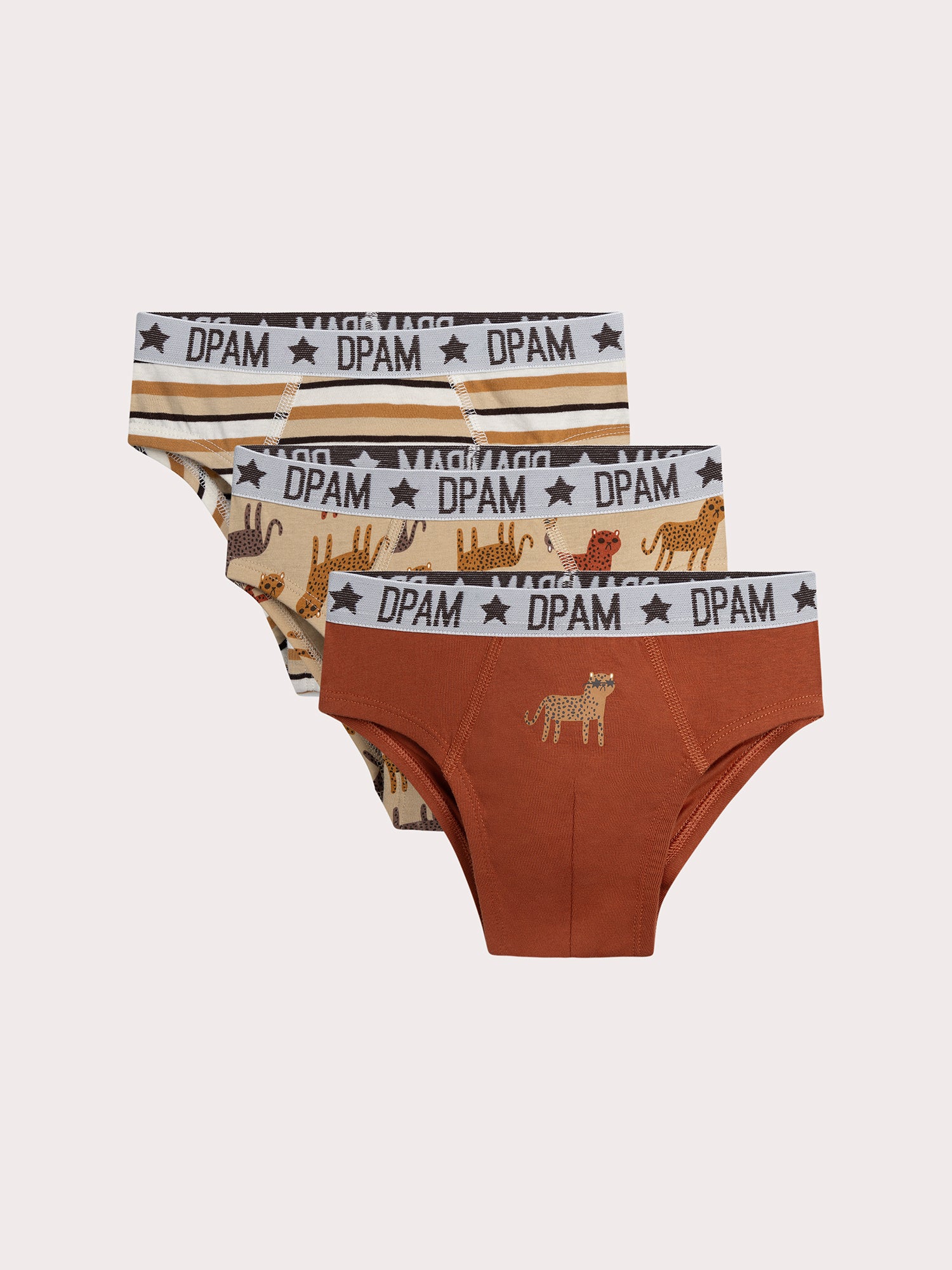 Lot de 3 slips léopard  pour enfant garçon