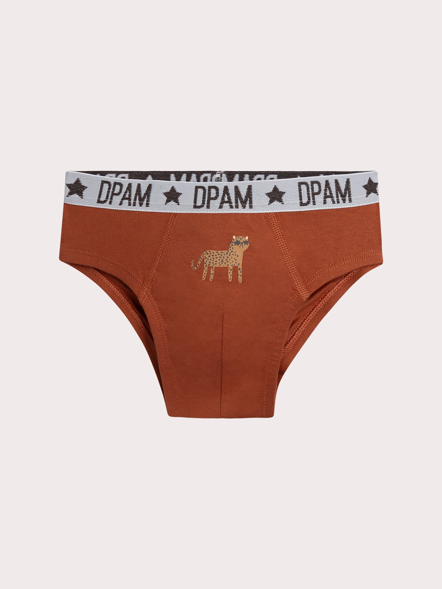 Lot de 3 slips léopard  pour enfant garçon