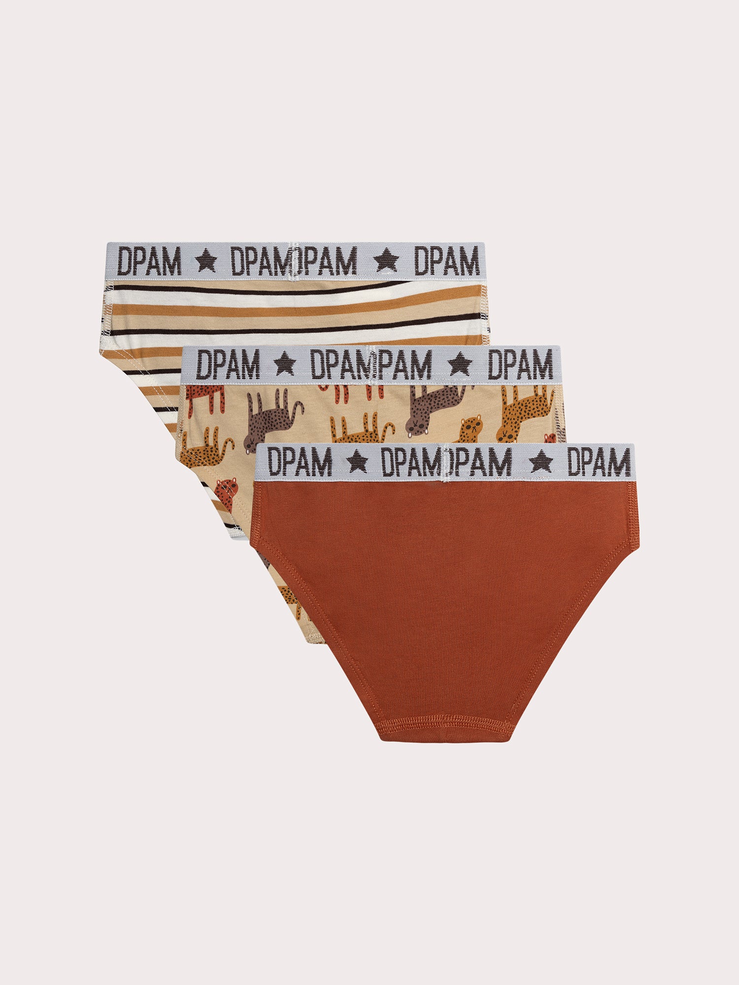 Lot de 3 slips léopard  pour enfant garçon