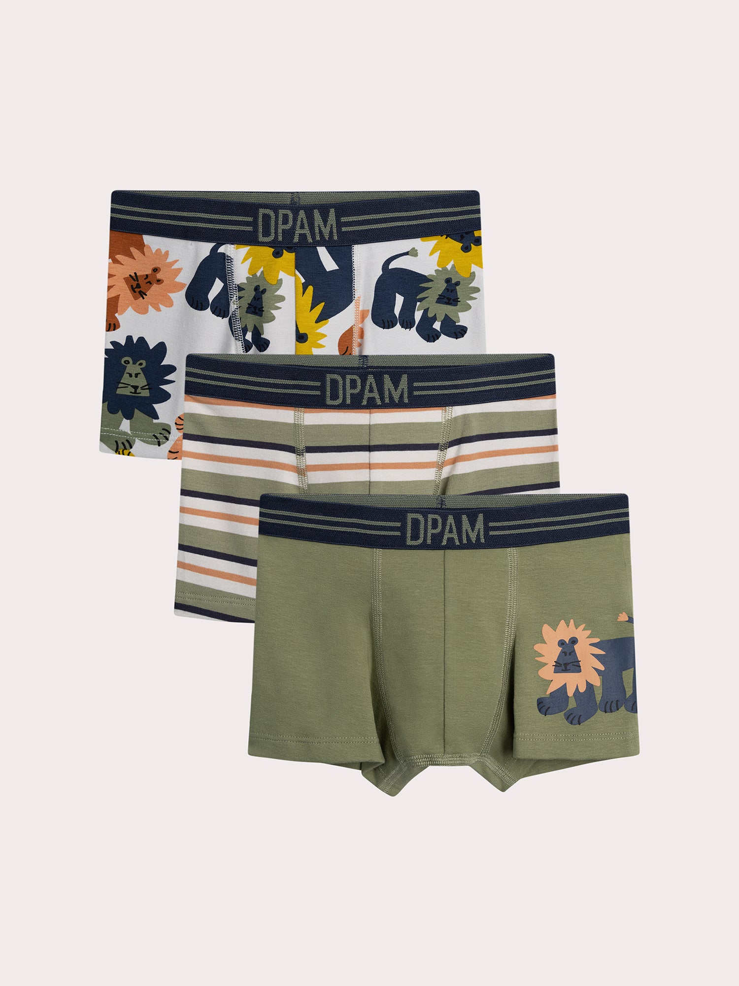 Lot de 3 boxers lion pour enfant garçon