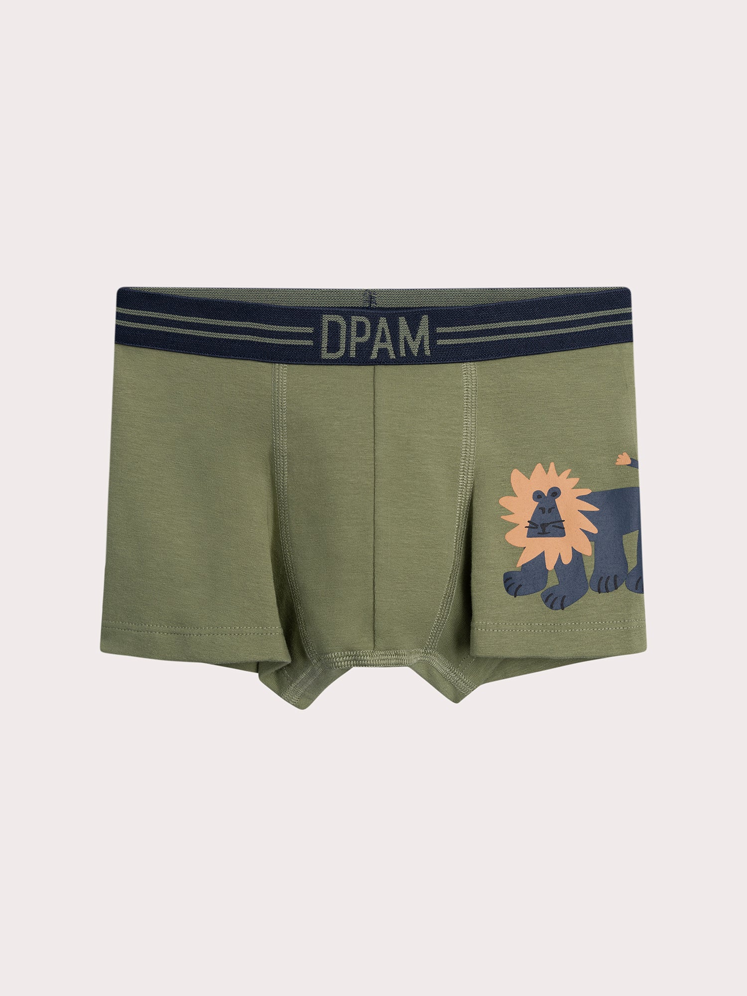 Lot de 3 boxers lion pour enfant garçon