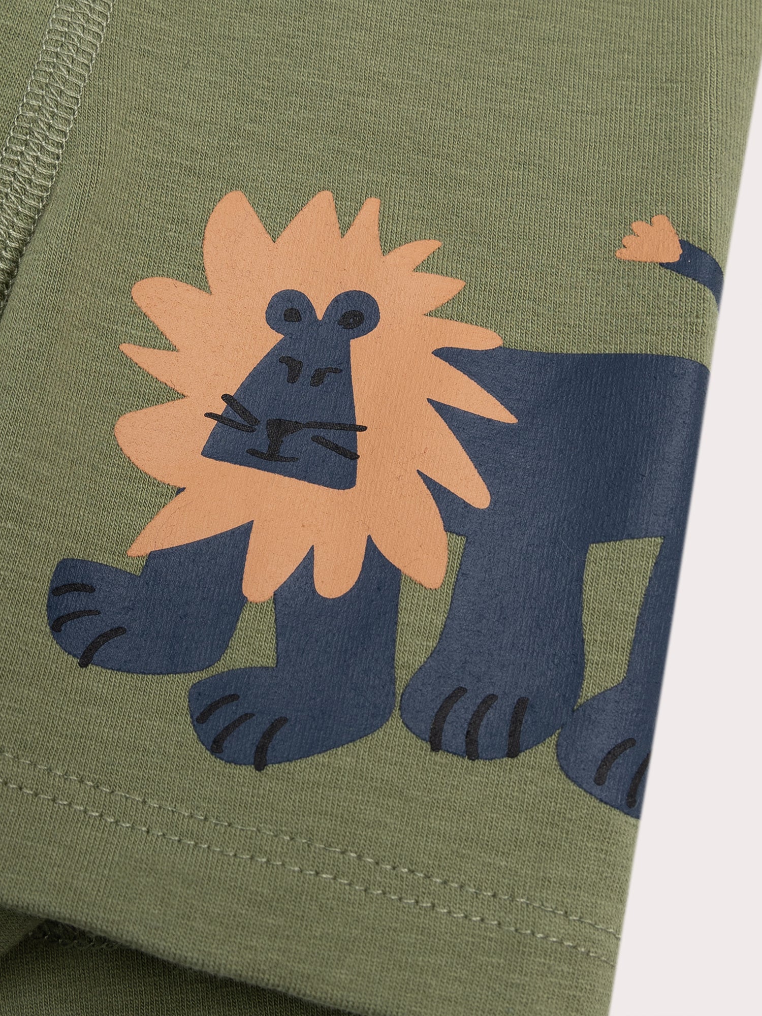 Lot de 3 boxers lion pour enfant garçon