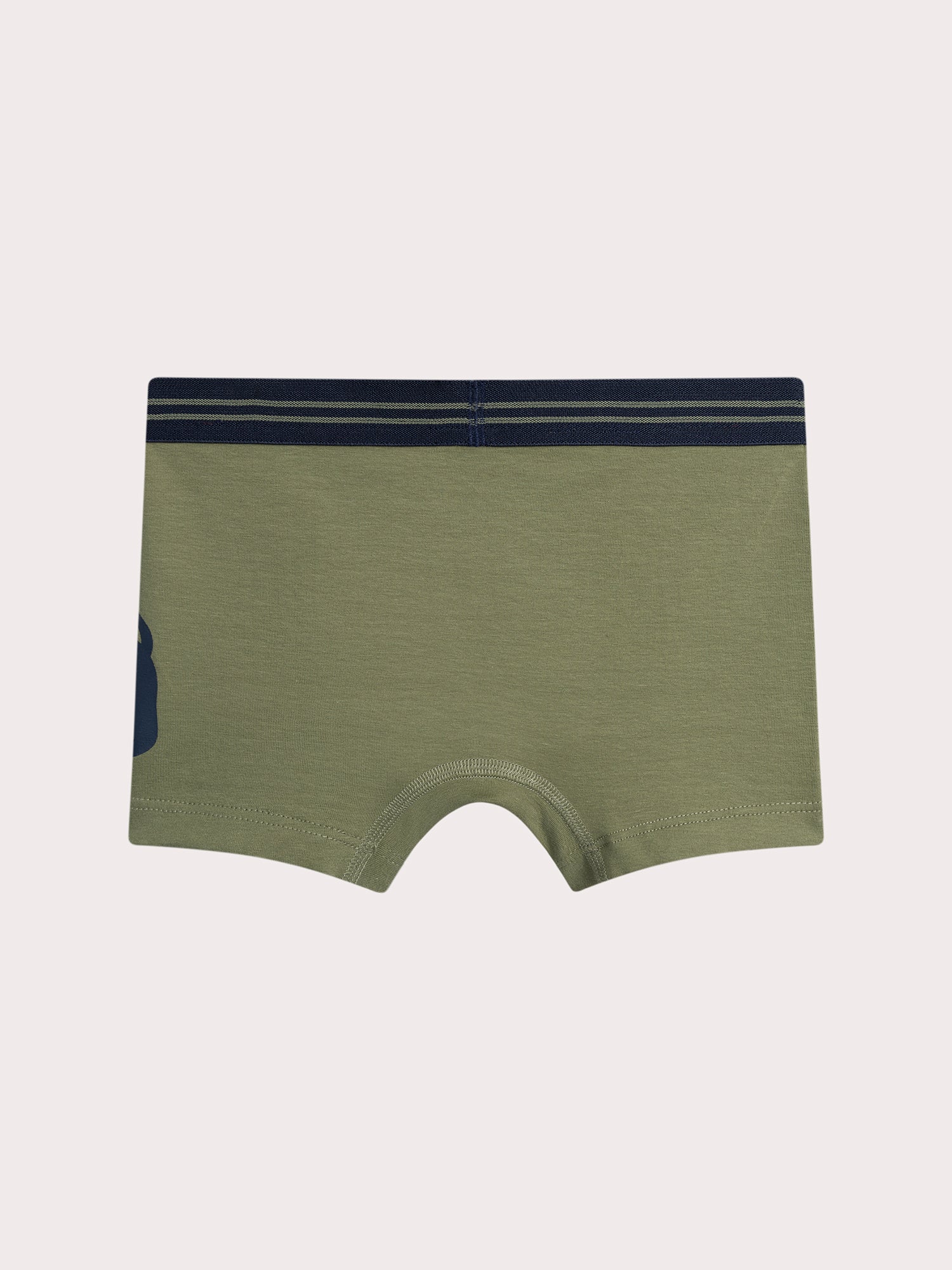 Lot de 3 boxers lion pour enfant garçon