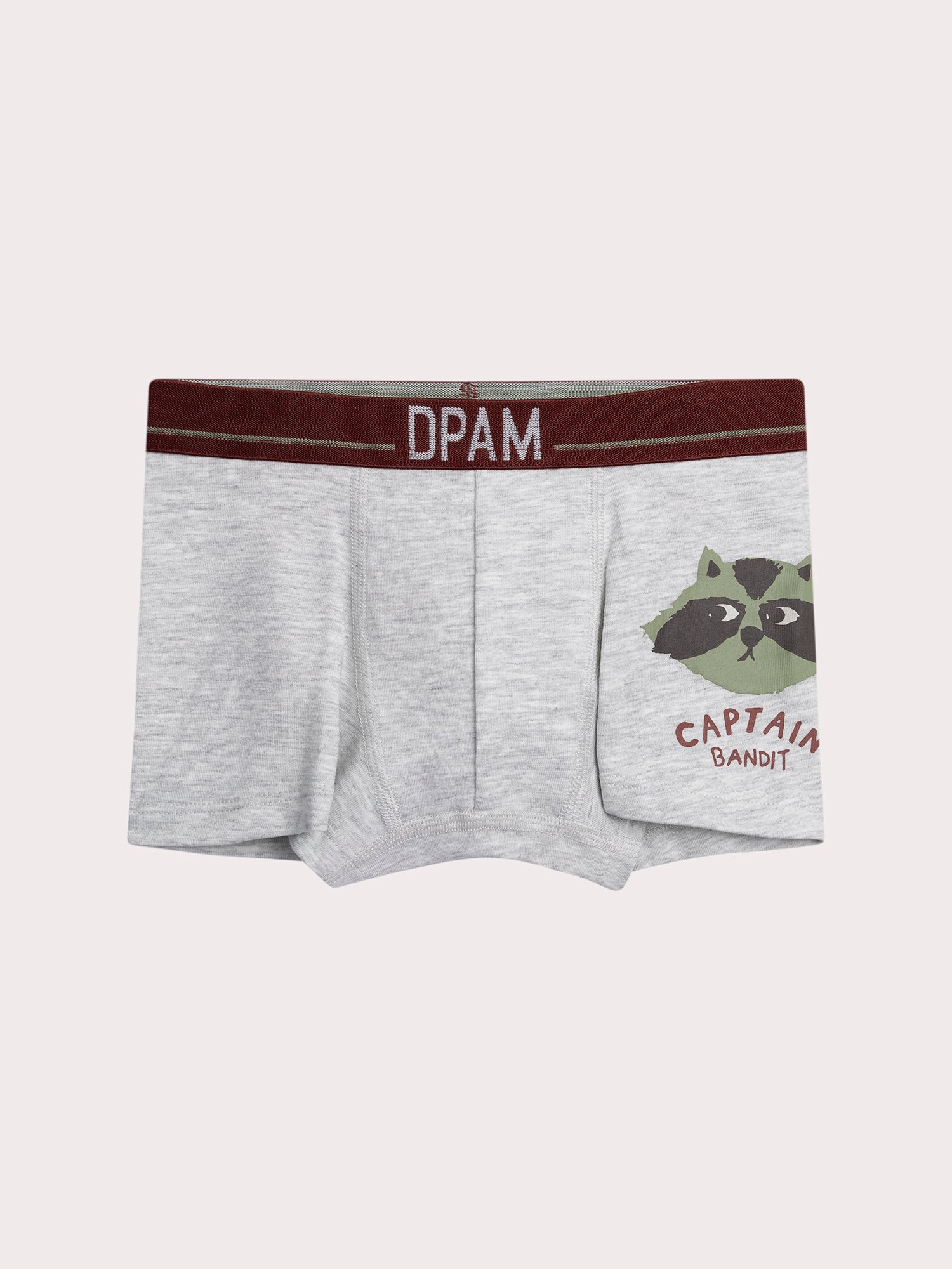 Lot de 5 boxers animaux pour enfant garçon