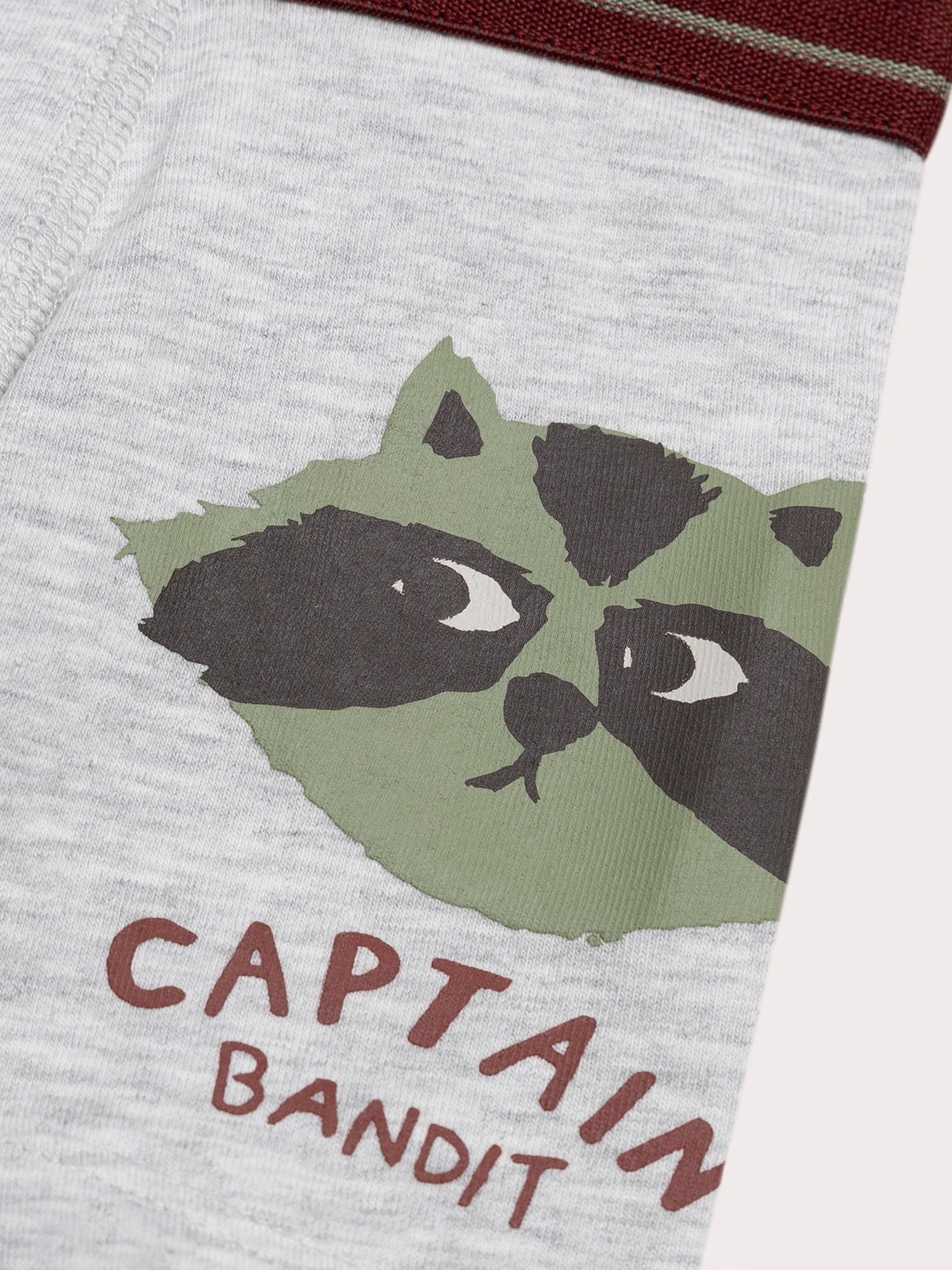 Lot de 5 boxers animaux pour enfant garçon