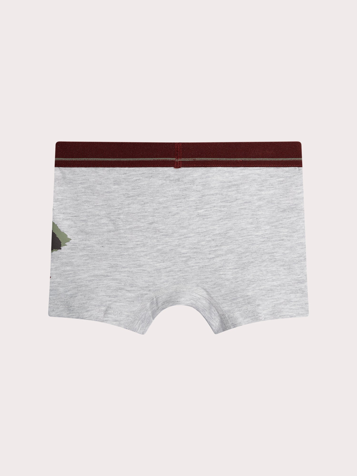 Lot de 5 boxers animaux pour enfant garçon